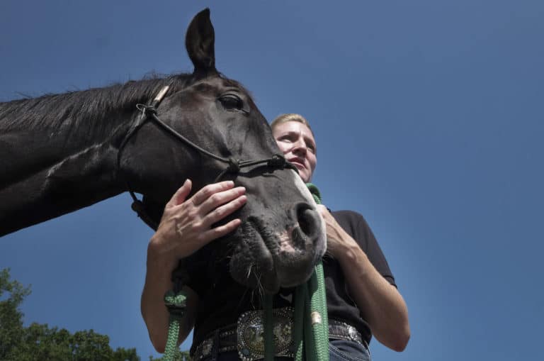 Two retired horses who served their country finally have new homes