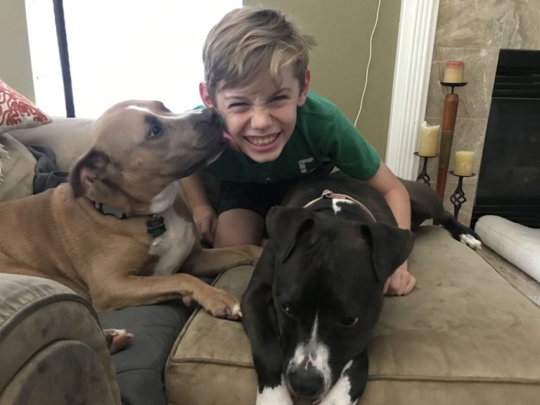 Mega Adoption Event a Mega Success