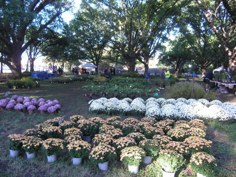 Fort Worth Botanical Garden presents its Fall Plant Sale