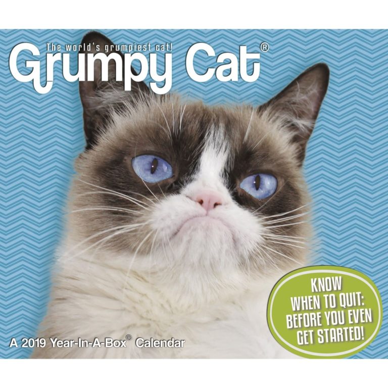 Grumpy Cat, who entertained millions online, dies at age 7