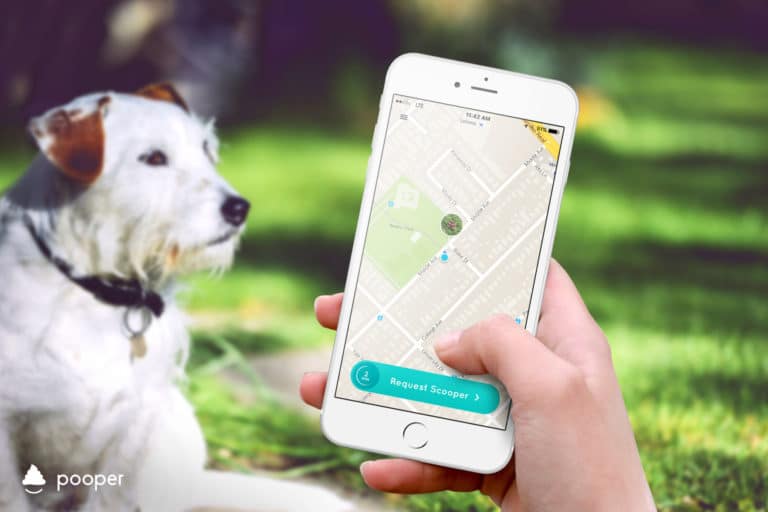 So it has come to this: An app that finds someone to clear up after your dog