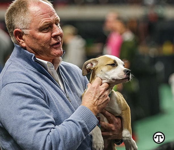 Rescue Puppy Named New Voice Of The TurfMutt Foundation