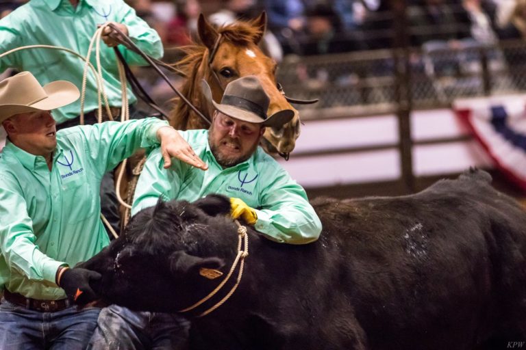 Fort Worth Stock Show & Rodeo  week 2