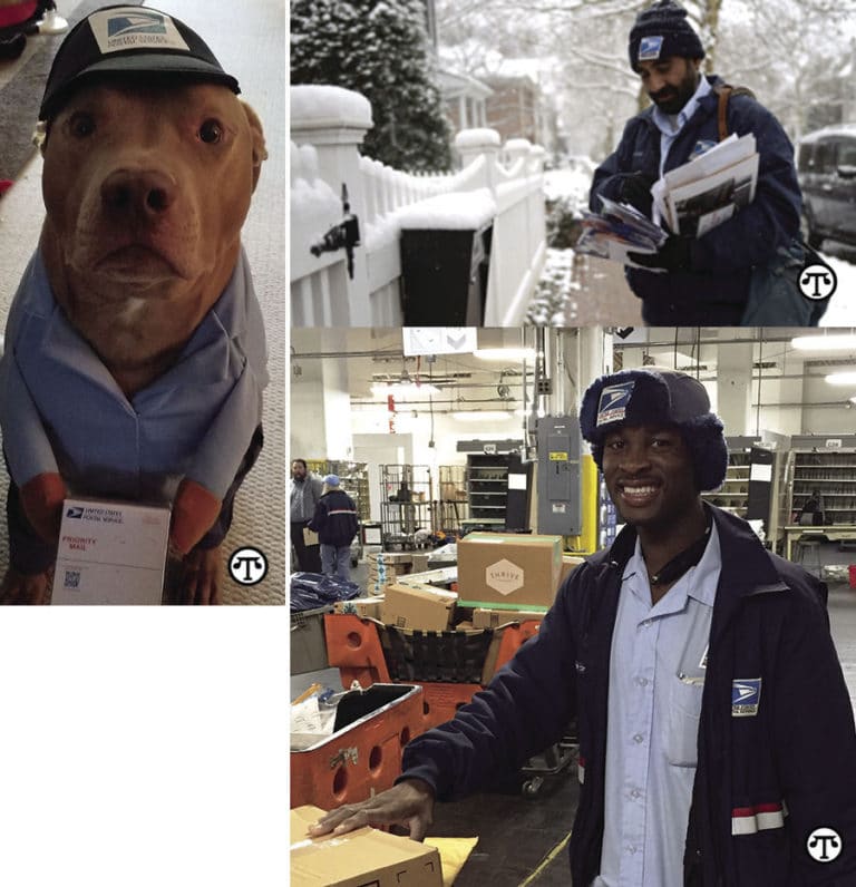 Sugerencias de seguridad de Papá Noel para la gente, mascotas y paquetes