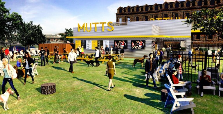 Mutt’s Canine Cantina coming to Clearfork