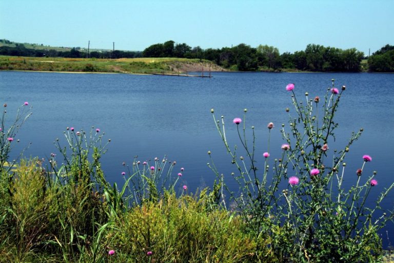 Texas Supreme Court might clarify water and surface rights