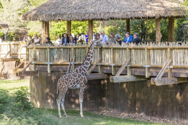 Zoo to be honored with Hospitality Award by Visit Fort Worth