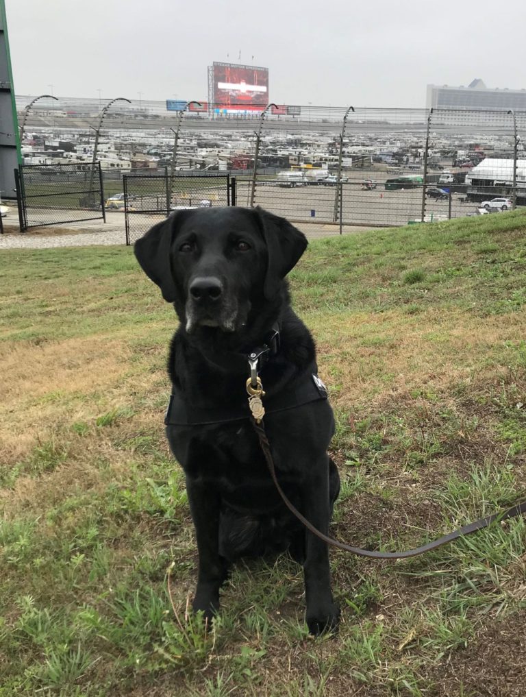 Fort Worth K9 Officer Quigley retiring