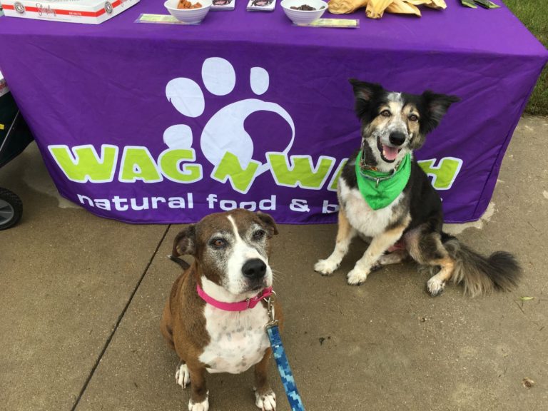 Wag N’ Wash appears at pet events in Northeast Tarrant Co.