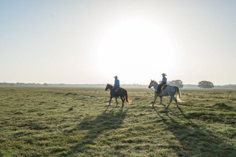 Kimbell Art Museum founding family lists almost 15,000-acre KB Carter Ranch