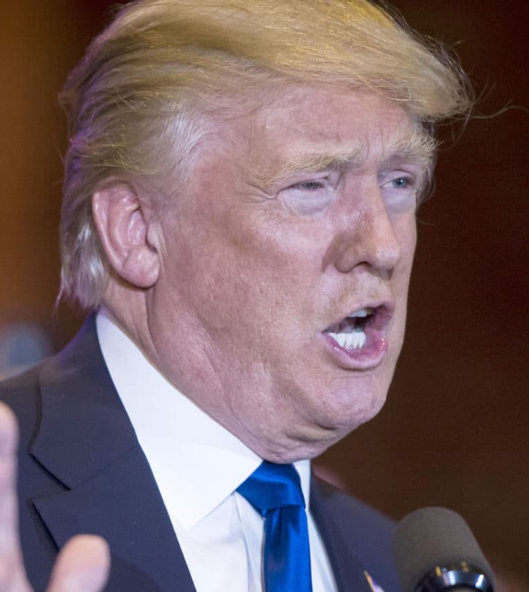 Famous musicians are writing 30 anti-Trump songs for the final 30 days of the election