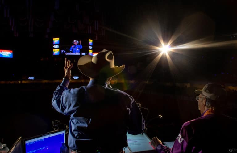 Junior Sale of Champions: Grand Champion sold to Hillwood for second year in a row