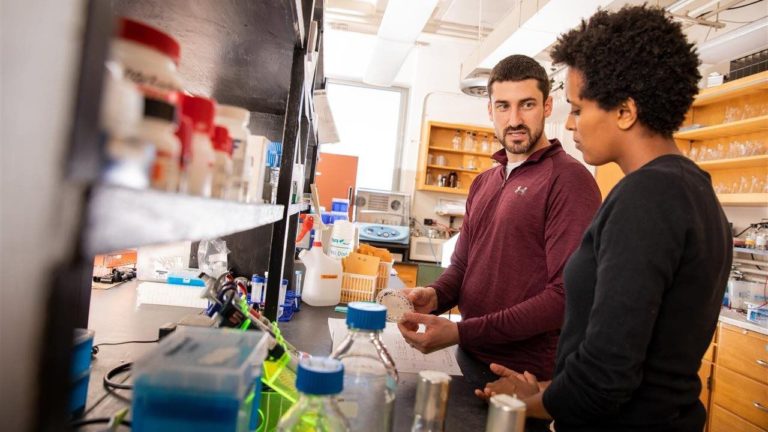 How scholarships can help today’s companies encourage top talent