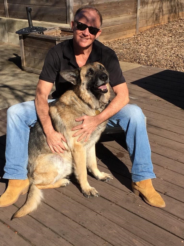 More people are adopting old dogs – really old dogs