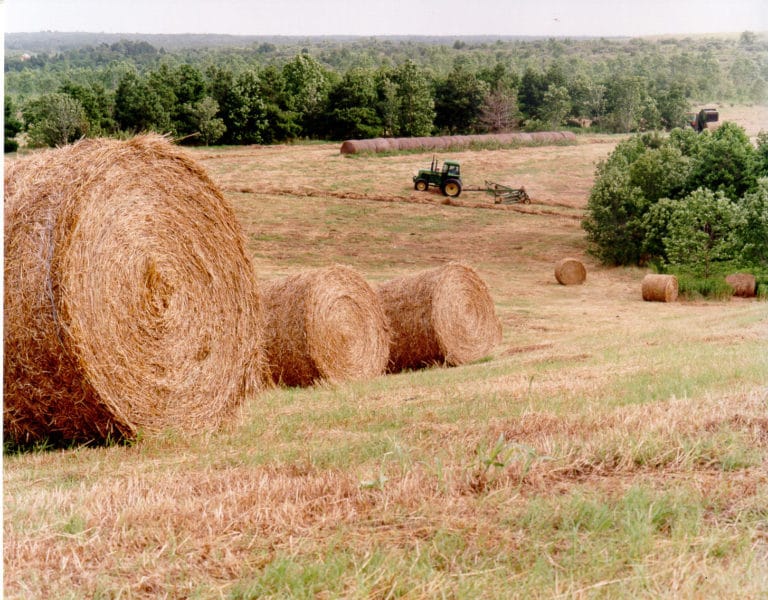 Waggoner Ranch broker now selling massive central Texas ranch