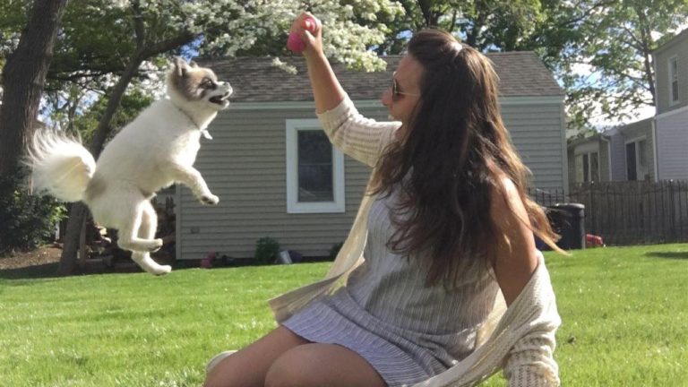 Love dogs? Here’s how to turn that passion into a successful side gig