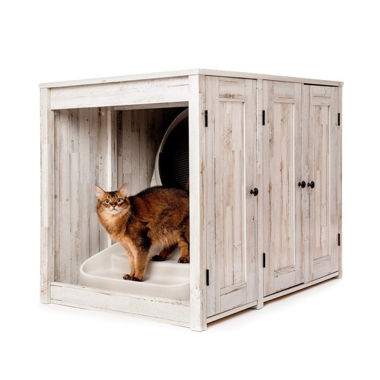 Litter box or furniture? How about both?