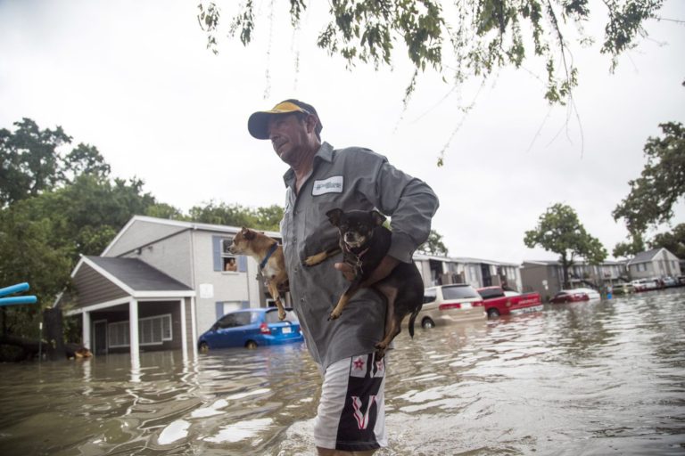 The Latest: Water reaches roofline of homes in neighborhood
