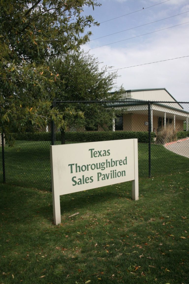 Western Bloodstock in auction agreement with TTA, Lone Star Park