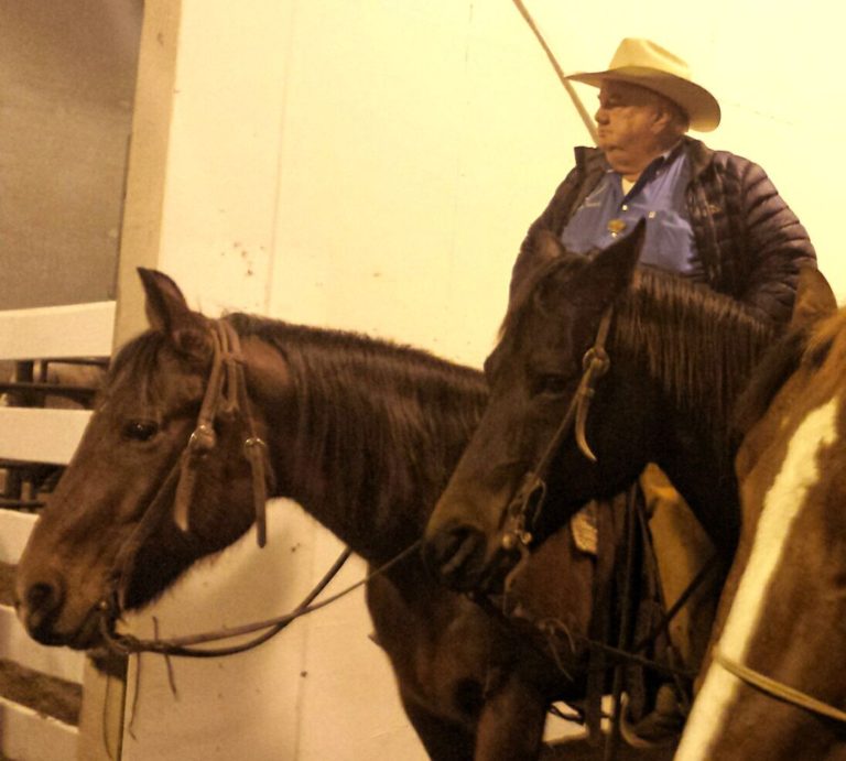 Stock Show Insider: Bonds riding high in saddle
