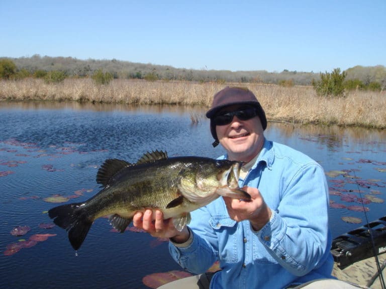 In Market  Passion play: Building a bass app