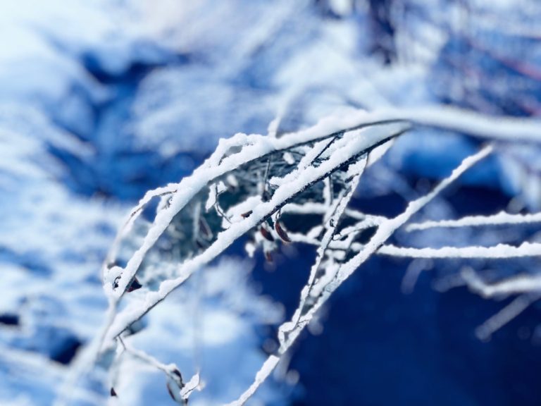 Richard Connor: Easter snow brings hope, renewal, nature’s beauty
