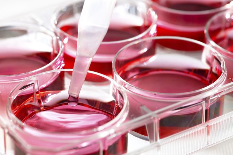 IU team pursues breathtaking regenerative medicine advances