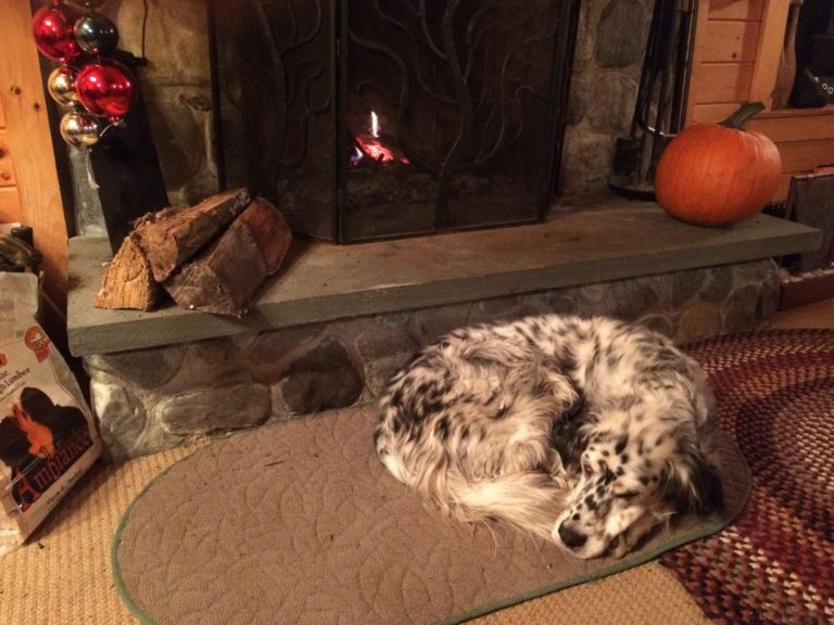 Richard Connor: Hunting or falling down, this dog was a breed apart