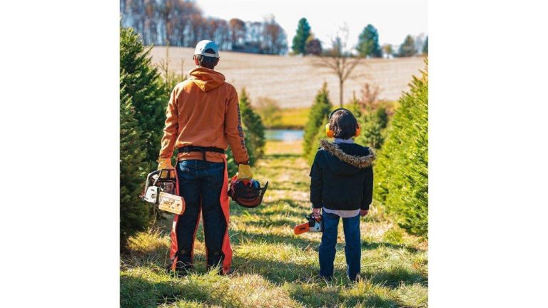 How to choose a Christmas tree