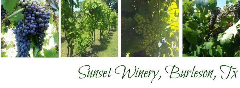 July 4th celebration at Sunset Winery