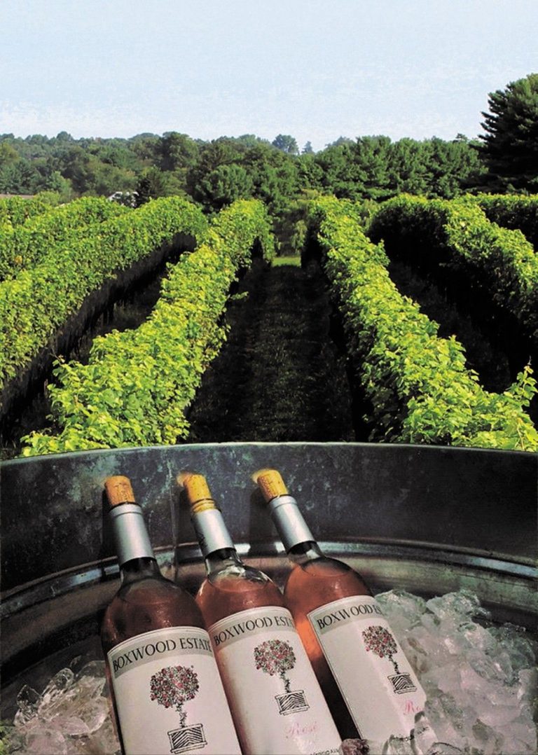 Rosé may be a casual quaff, but vintage still matters