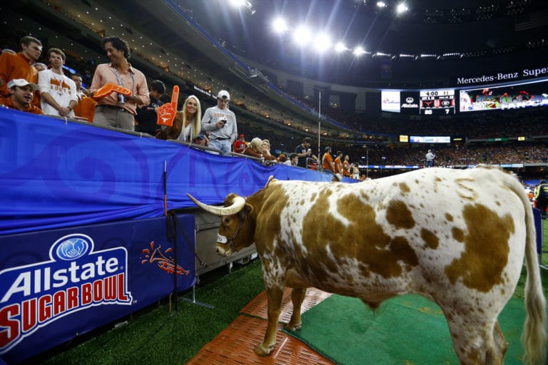 Photographer sues over Texas mascot’s pre-Sugar Bowl charge