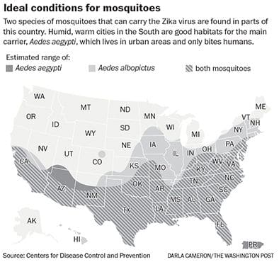 In Miami, Zika’s arrival greeted with worry – and shrugs
