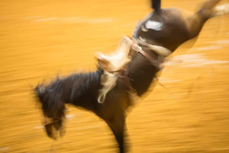 Rodeo: Photographs by Rima Canaan Lee