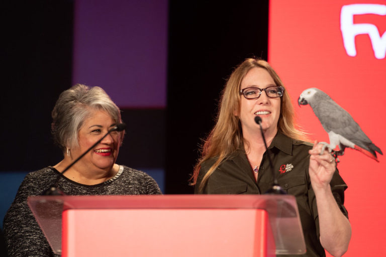 Fort Worth takes its shot: Tourist, marketing group has banner year