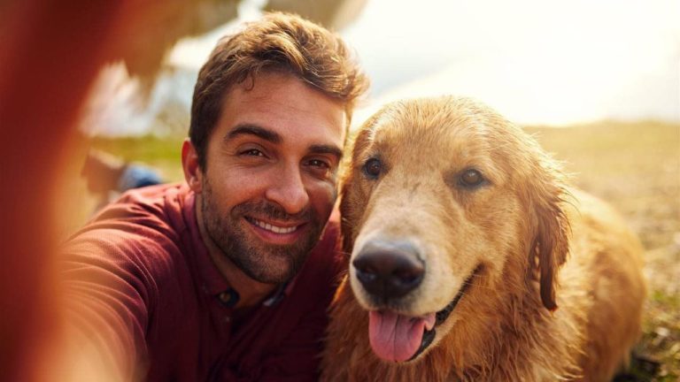 Easy tips for creating a great online dating profile