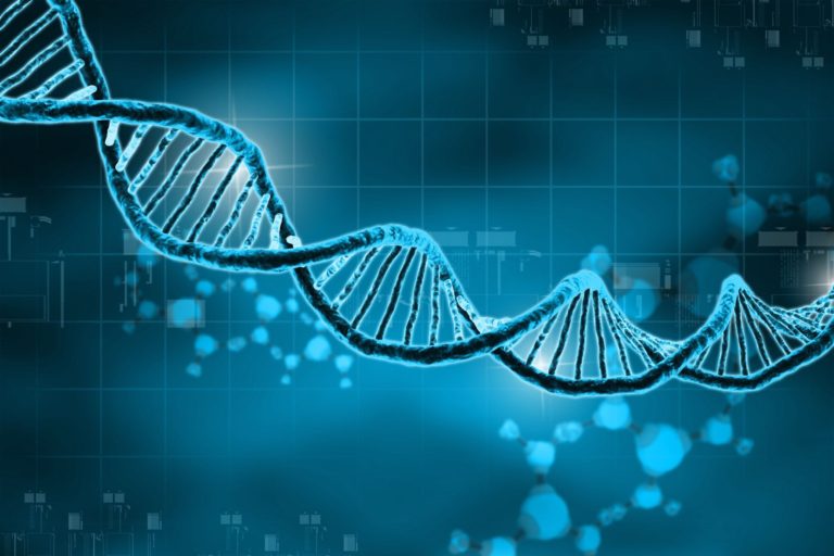 In his DNA: Shepherd plays key role in cold case arrest
