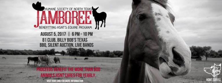 Support the Humane Society of North Texas’ Equine Program at the HSNT Jamboree