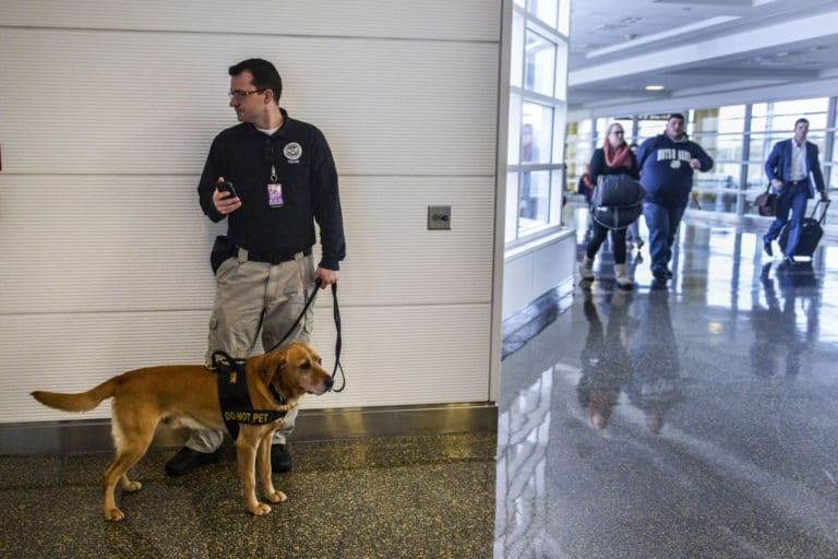 DFW Airport projects 2.4% increase in summer season; TSA makes progress in cutting wait times