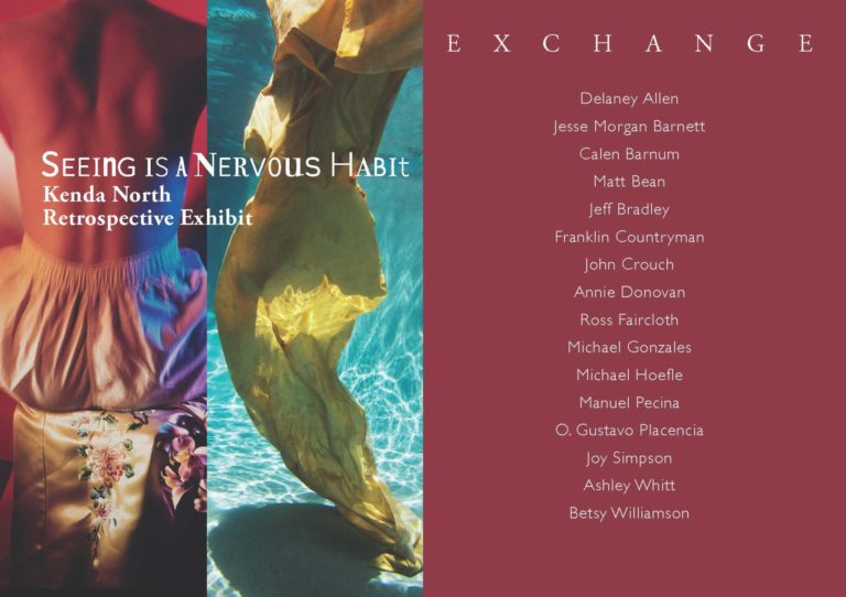 Seeing is a Nervous Habit (Kenda North) at Arlington Museum of Art