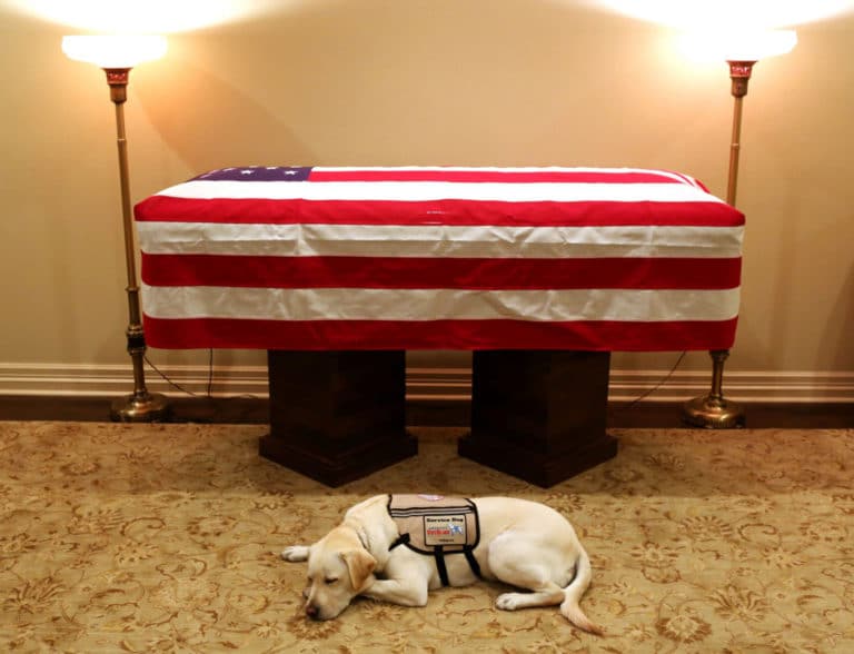 Service organization commissions statue of Bush’s dog