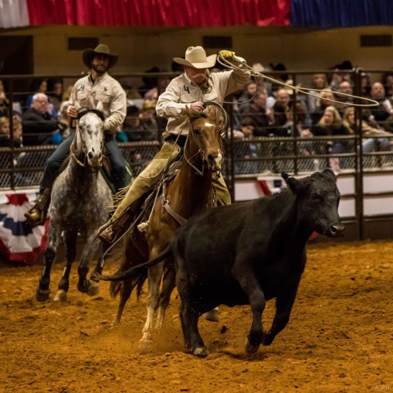 Officials: Stock  Show parade canceled due to winds, weather