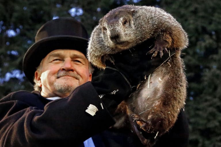 Groundhog Day: Punxsutawney Phil predicts six more weeks of winter