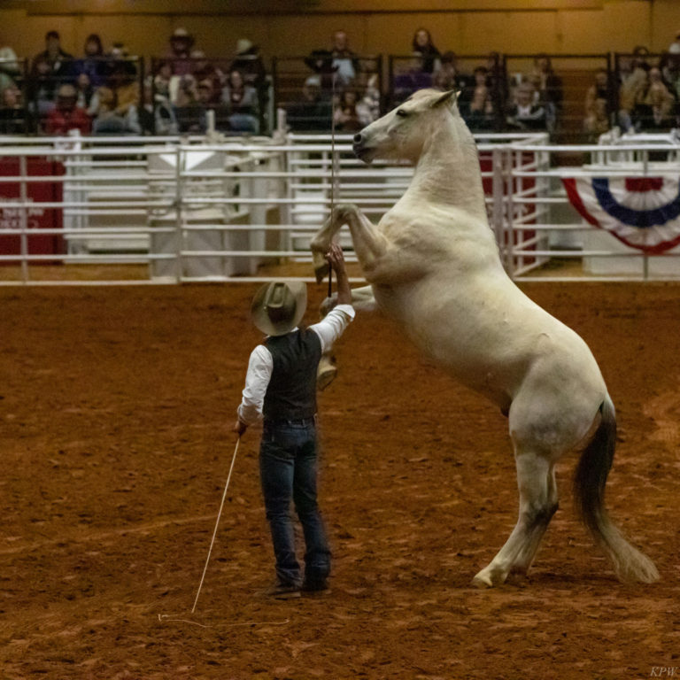 FWSSR: Mustang Magic