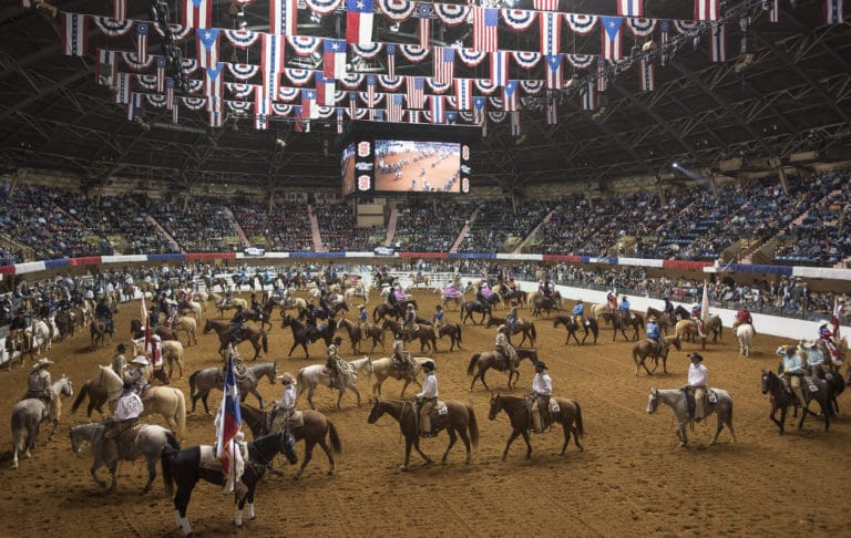 The Stock Show is going wild