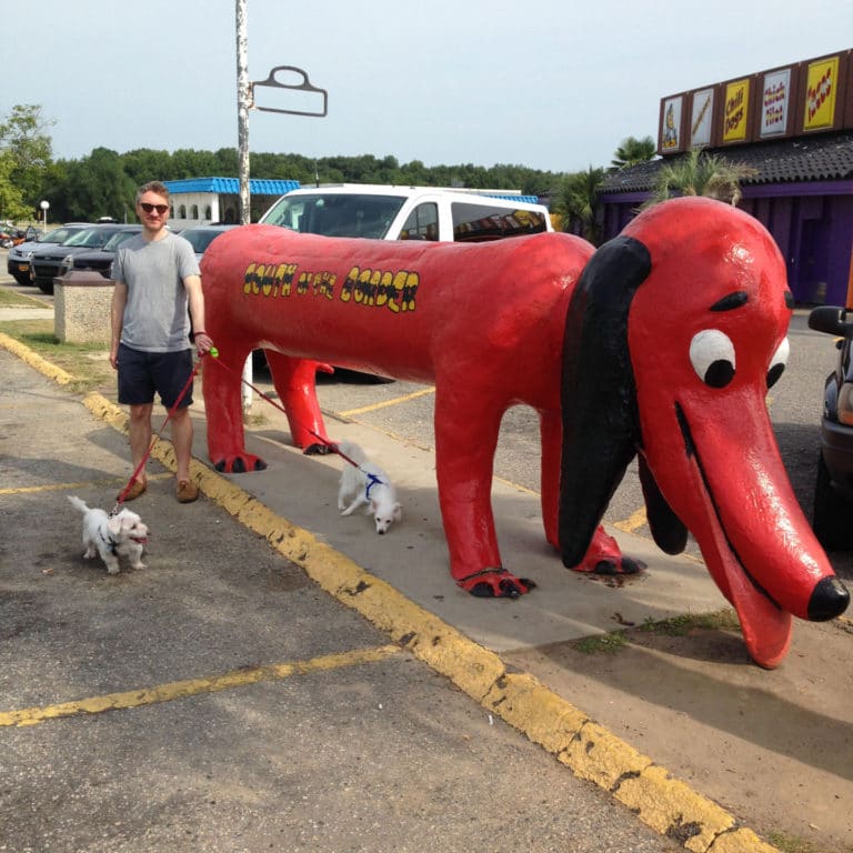 South of the Border: Shouldn’t look; can’t look away