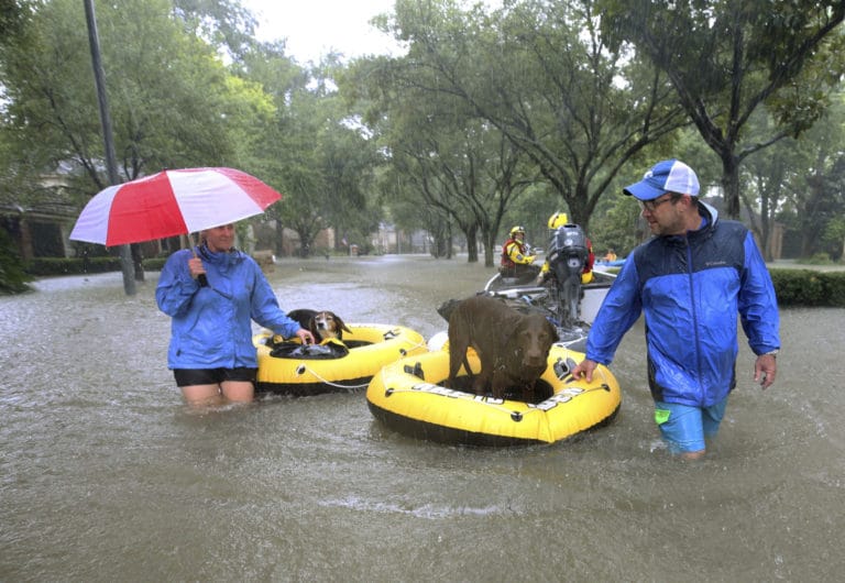 Hurricane Harvey survivors feel grief, distress months later