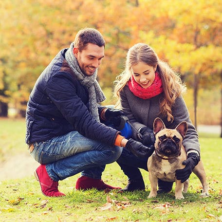 4 Ways to Treat and Trick Your Pet this Fall