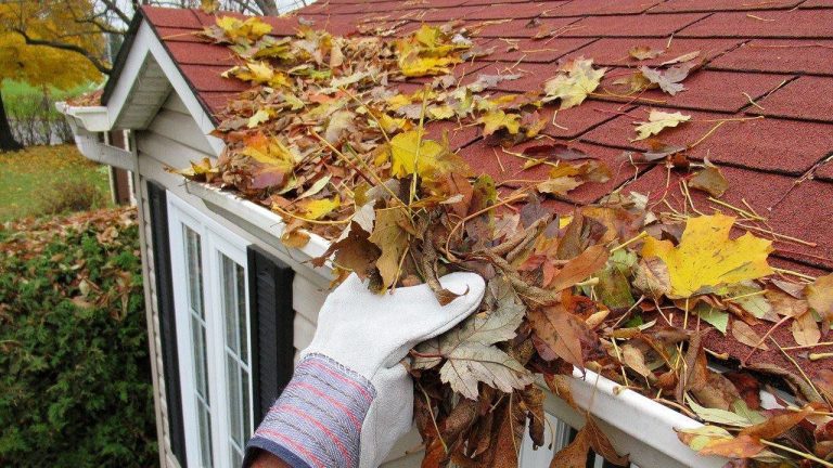 4 outdoor cleaning tips that could help you save thousands