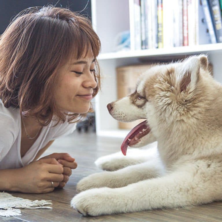 How to Find the Right Dog for Your Family
